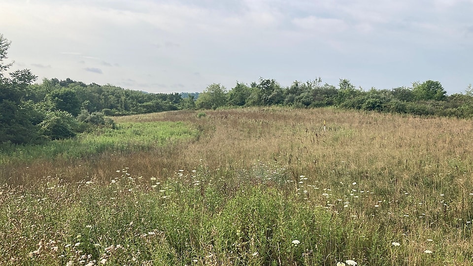 Montour Trail Conservation Project in Pennsylvania