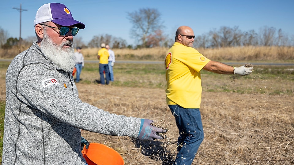 Wildflower Energy Project at Bayou Teche National Wildlife Refuge